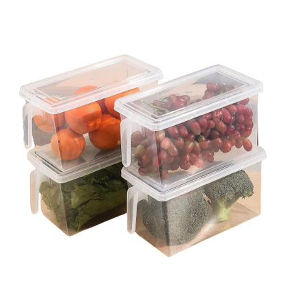 Food Storage Container with Handle | Clear | 27.3 x 14.8 x 15.3 cm | Durable & Eco Friendly