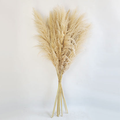 Big Fluffy Pampas Grass | 100cm Dried Decorative Flowers for Home Decor | Brown