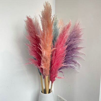 Dried Flowers 110cm Pampas Grass Small Bouquet | Colorful Natural Pampas Grass Decor