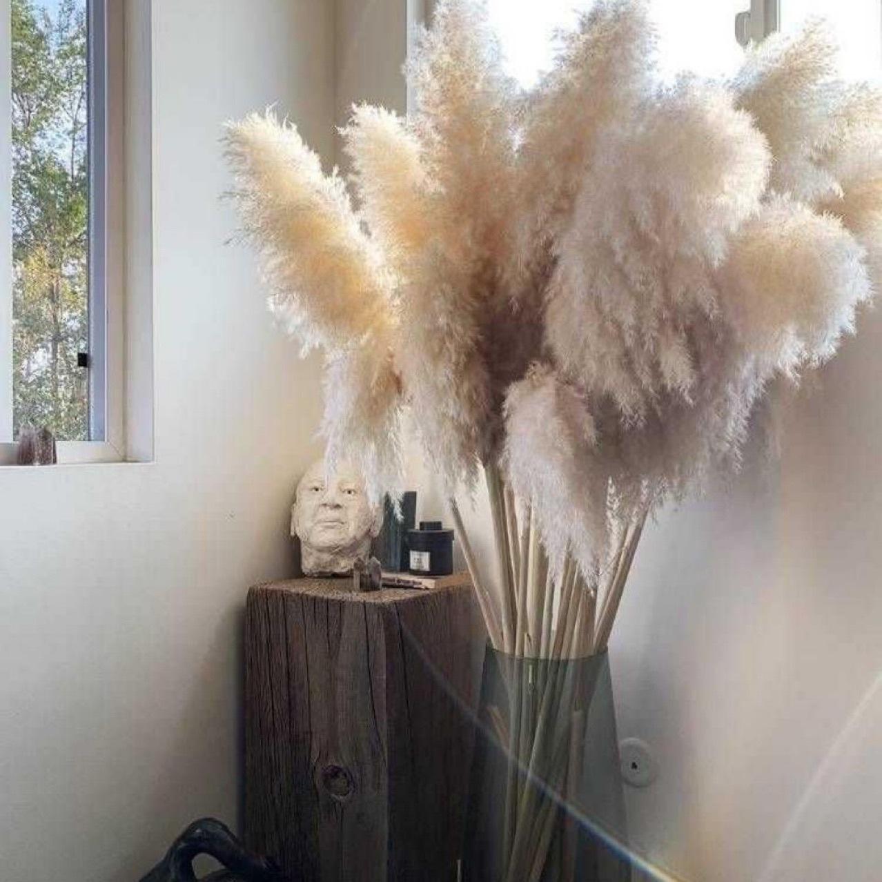 Large Pampas Grass | 1.2m Long Fluffy Natural Dried Pampas Grass for Home and Wedding Decor | Gray