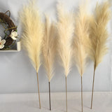 Pampas Grass | Dried Artificial Pampas for Large Decor Arrangements | Fluffy and Full Stems