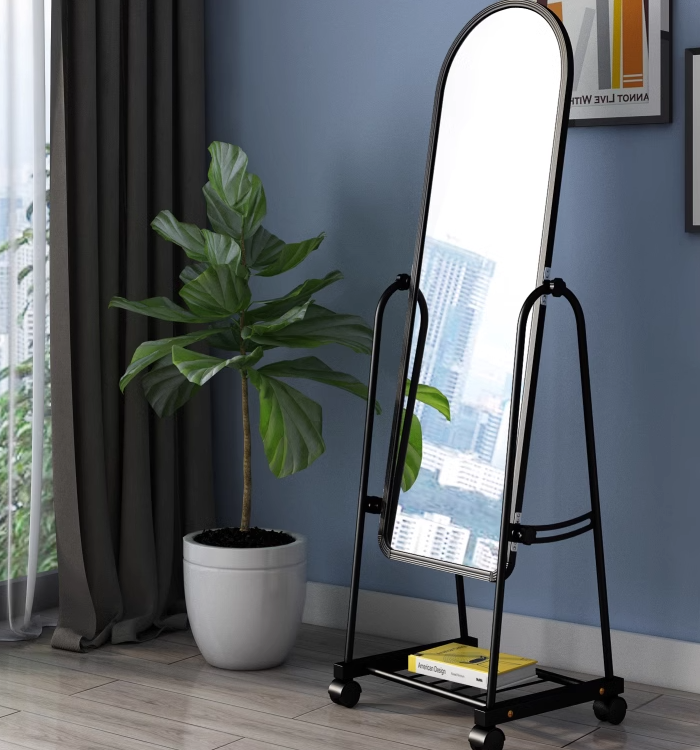 Full Length Dressing Mirror with Wheels