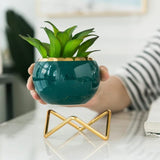 Simple Creative Succulent Planter – Decorative Ceramic Pot with Gold Metal Frame, Includes Artificial Flower and White Stones | Living Room Decor | Outdoor Indoor Decoration