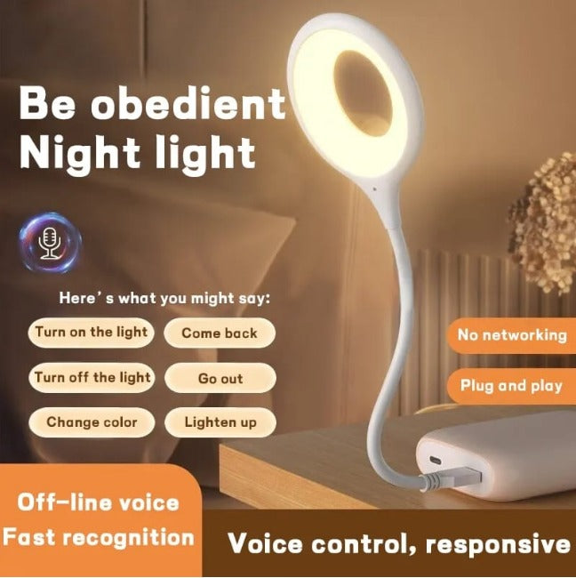 USB Connection Desk Lamp with Voice Command Control / Smart LED Desk Lamp for Home, Office, and Study