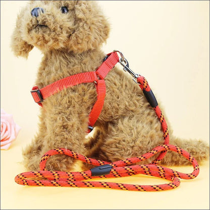 Dog Leash and Harness with Collar Complete Set for Small and Large Dogs, Classy and Stylish