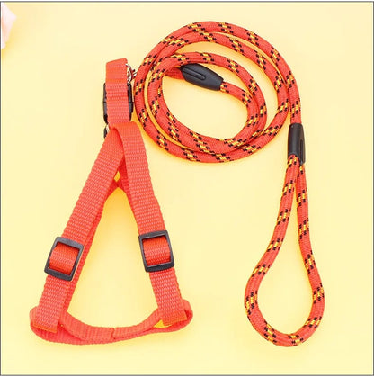 Dog leash / harness with collar