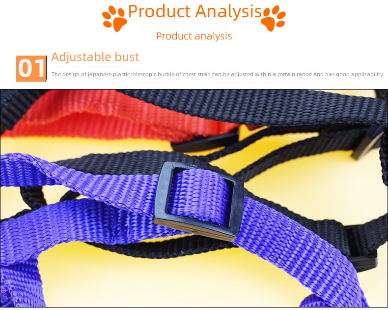 Dog leash / harness with collar