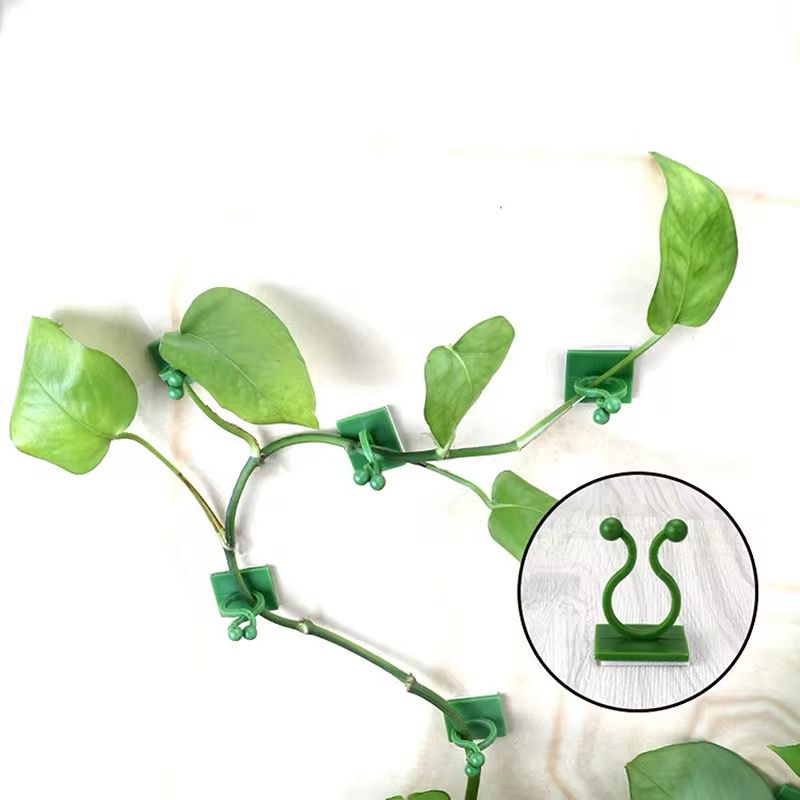 10pcs Invisible Wall Rattan Clamp Clip Plant Climbing Wall Clips, Sticky Hook Holders for Wall Vines and Garden Organization