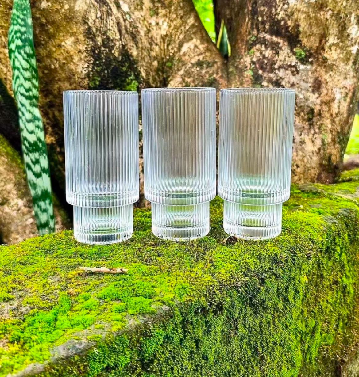 Fancy Aesthetic Highball Crystal Ribbed Glasses  Set of 6