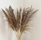 1.5m Artificial Dry Pampas Flowers Elegant Decorative Dried Flower Arrangement for Home, Office, and Events