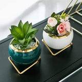 Nordic Succulent Plant Flower Pot | Gold Ceramic Planter for Home Decor | Available in White & Green