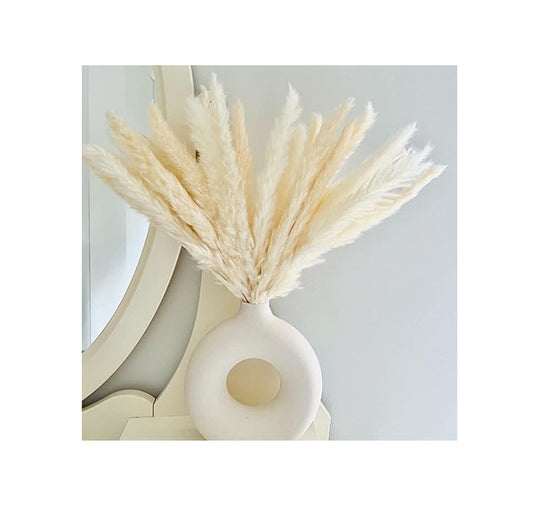 Small Fluffy Pampas Grass | Natural Dried Mini Pampas for Home Decor and Floral Arrangements