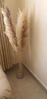 Big Fluffy Pampas Grass | Dried Decorative Flowers 1.4m Long for Home & Event Styling (White, Brown, Grey)