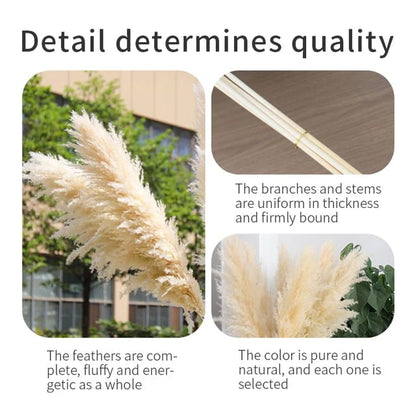 Big Fluffy Pampas Grass | Dried Decorative Flowers 1.4m Long for Home & Event Styling (White, Brown, Grey)