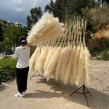 Big Fluffy Pampas Grass | Dried Decorative Flowers 1.4m Long for Home & Event Styling (White, Brown, Grey)