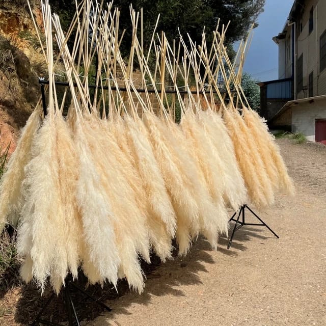 Big Fluffy Pampas Grass | Dried Decorative Flowers 1.4m Long for Home & Event Styling (White, Brown, Grey)