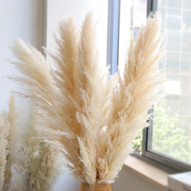 Big Fluffy Pampas Grass | Dried Decorative Flowers 1.4m Long for Home & Event Styling (White, Brown, Grey)