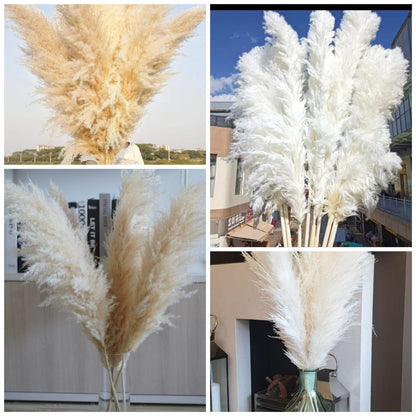 Big Fluffy Pampas Grass | Dried Decorative Flowers 1.4m Long for Home & Event Styling (White, Brown, Grey)