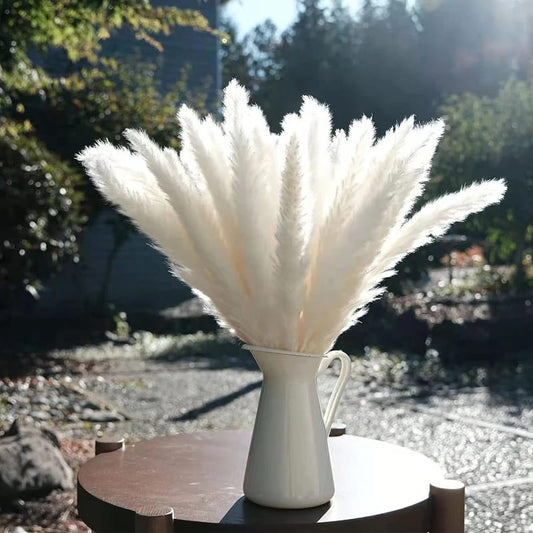 Fluffy Large Pampas Grass Decor | Natural Home Decoration for Weddings & Events (White, Natural Color)