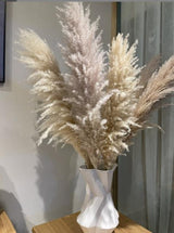 Big Fluffy Pampas Grass | Dried Decorative Flowers for Home Decor & Event Styling (80cm)