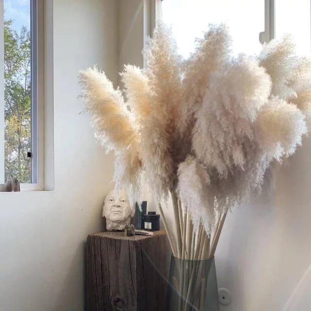 Large Pampas Grass | 1.2m Long Fluffy Natural Dried Pampas Grass for Home and Wedding Decor | Gray