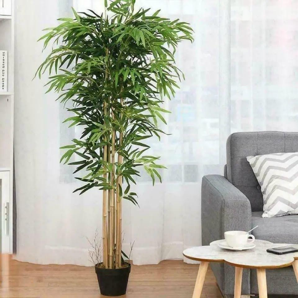 Real Touch High Quality Bamboo Plant | 210cm Indoor Decor