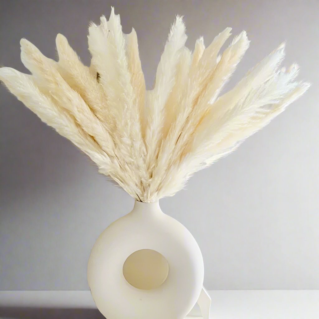 Set of 3 Small Fluffy Pampas Grass | Decorative Dried Floral Arrangement