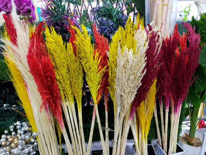 Dried Flowers 110cm Pampas Grass Small Bouquet | Colorful Natural Pampas Grass Decor