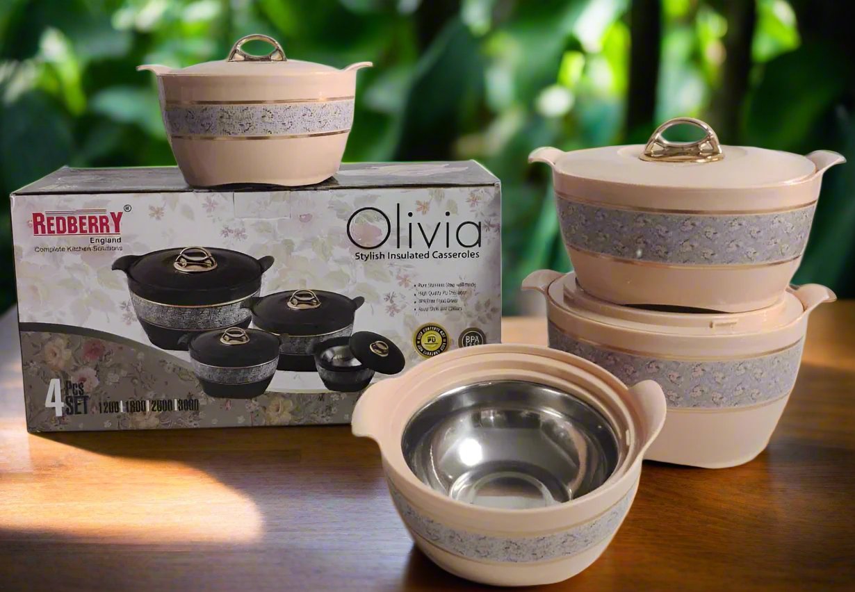 Redberry Plastic Designer Hotpot Set "Olivia" | 4pcs Insulated Food Storage Containers | Chic Design & Durable Finish