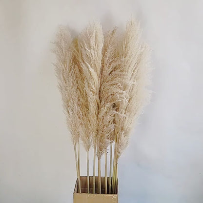 Large Pampas Grass | 1.2m Long Fluffy Natural Dried Pampas Grass for Home and Wedding Decor | Gray