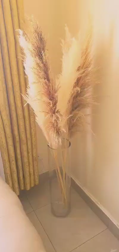 Big Fluffy Pampas Grass | Dried Decorative Flowers 1.4m Long for Home & Event Styling (White, Brown, Grey)